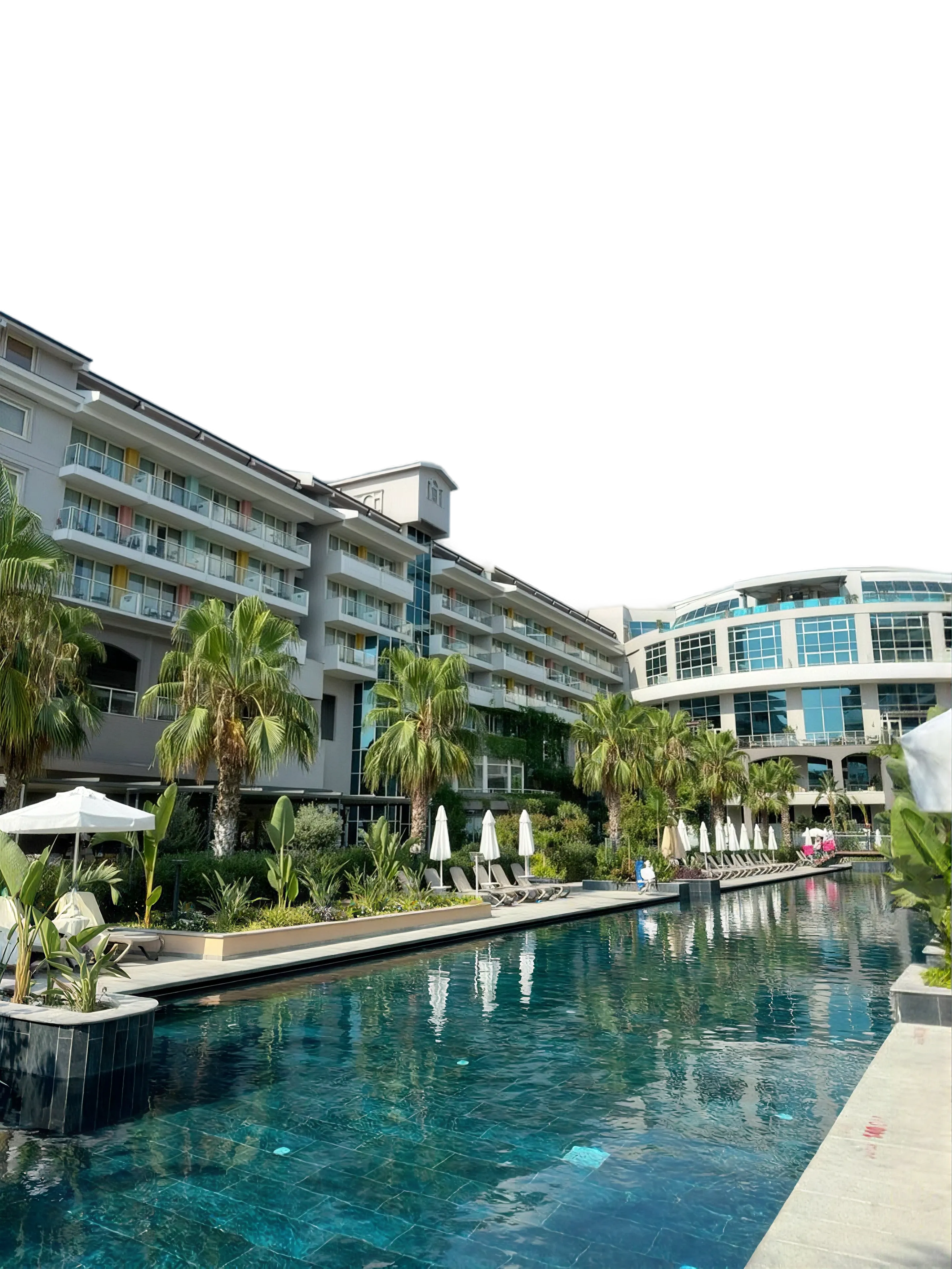 Hotel facade framed by palm trees